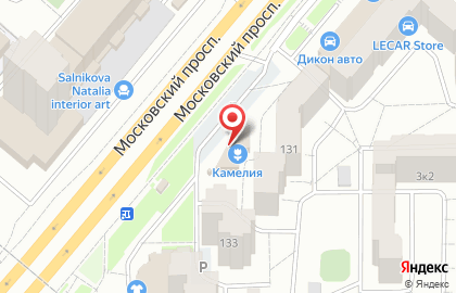 Цветочный салон Камелия на Московском проспекте на карте