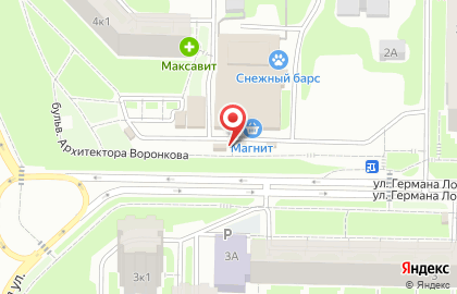 Магазин рыбной продукции BagirovFISH на улице Германа Лопатина на карте
