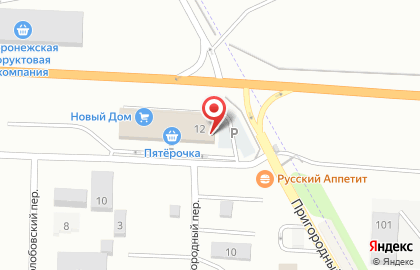 Супермаркет Пятёрочка в Тамбовском переулке на карте