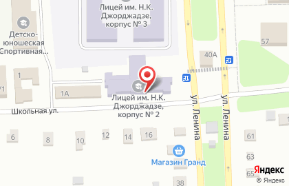 Ишеевский многопрофильный лицей им. Н.К. Джорджадзе на Школьной улице на карте