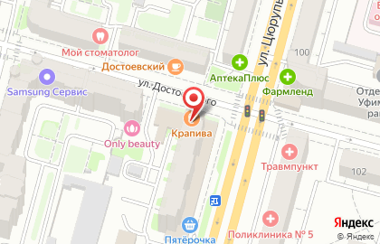 Пивное заведение Синева в Кировском районе на карте