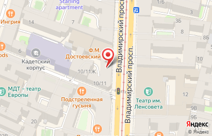 Экко на Владимирской на карте