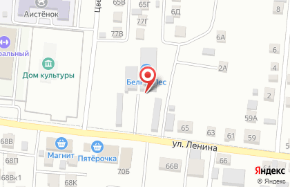 БелРосЛес 1 на улице Ленина на карте