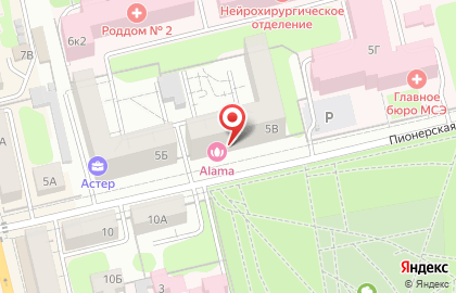 Цветочный магазин Bloom на карте