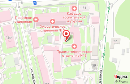 Храм в честь иконы Всех скорбящих Радость в переулке Радищева на карте