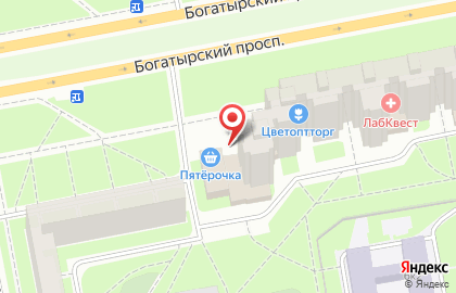 Аптека Мелодия здоровья на Богатырском проспекте на карте