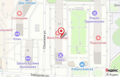 Медицинский центр Вита Медикус на Ольховой улице, 11 в Видном на карте