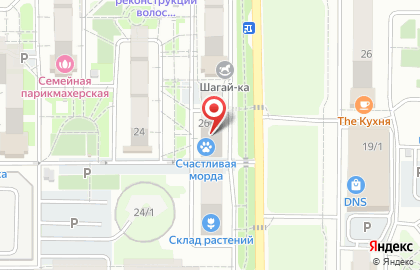 Студия английского языка ЛингваЛама на карте