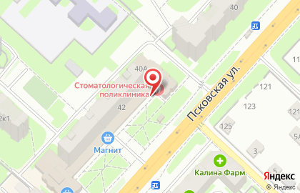 Стоматологическая поликлиника на Псковской на карте