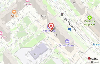 Зоосалон Бишон на улице Курыжова на карте