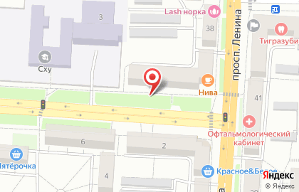 Нива на улице Васенко на карте