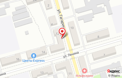 Аптечный пункт Небоскреб на улице Ленина на карте