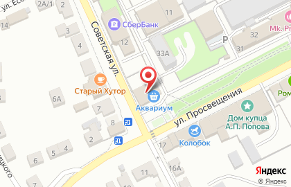 Продуктовый магазин Аквариум на улице Просвещения на карте