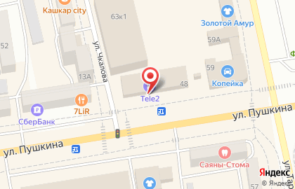 Офис продаж и обслуживания Билайн на улице Пушкина на карте