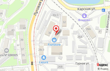 Компания по продаже и установке автостекол и радиаторов PrimaBLiK на Луговой улице на карте