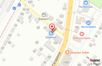 Ветеринарная клиника Хомячок на улице Луначарского в Новочеркасске на карте