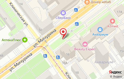 Киоск по продаже кондитерских изделий на улице Мичурина на карте