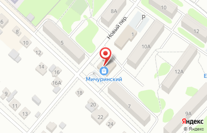 Супермаркет Магнит на улице Мичурина на карте