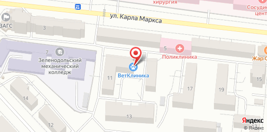 Ветеринарная клиника 4 лапы в Зеленодольске на карте