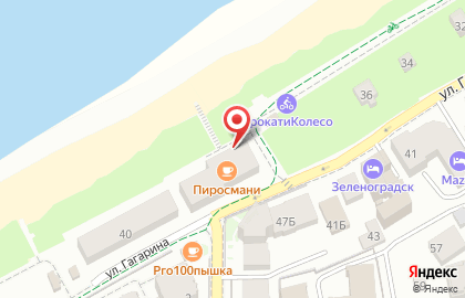 Магазин алкогольной продукции Вайтнауэр-Филипп на улице Гагарина на карте