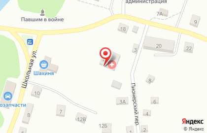Фельдшерско-акушерский пункт, Областная больница №19 на улице Школьная 10А на карте