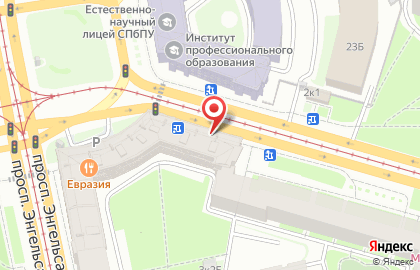 Салон Багира в Выборгском районе на карте