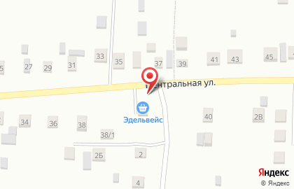 Продовольственный магазин Эдельвейс на Центральной улице на карте