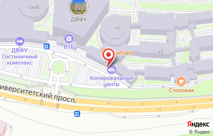 Дальневосточный федеральный университет во Владивостоке на карте