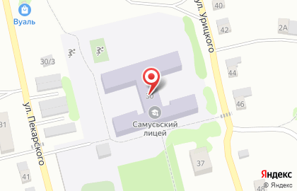 Самусьский лицей им. академика В.В. Пекарского на карте