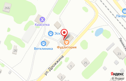 Продовольственный магазин на Ленинской улице на карте