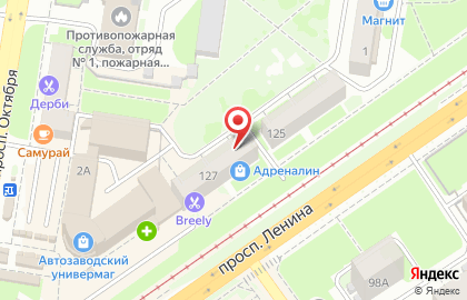 Нижегородская коллегия адвокатов №4 на карте