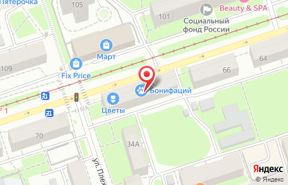 Зоомагазин Бонифаций на Петропавловской улице на карте