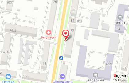 Буфет АмГУ в Благовещенске на карте