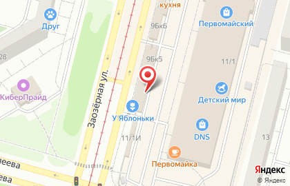 Камуфляж 55 на Заозёрной улице на карте