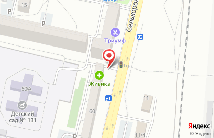 Киоск по продаже фруктов и овощей по продаже фруктов и овощей на Селькоровской улице на карте