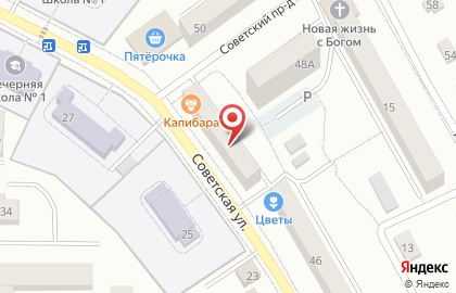 Kapibara на Советской улице на карте