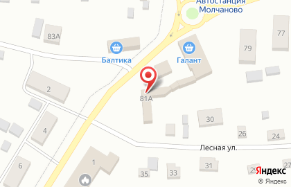Магазин-бар разливных напитков Пенная гильдия на Лесной на карте