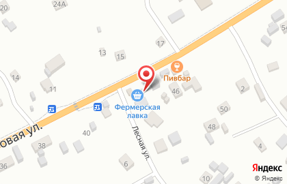 Магазин Фермерская лавка на Трактовой улице на карте