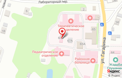 Опочецкая межрайонная больница на улице Гагарина на карте