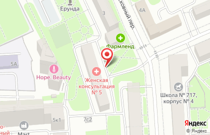 Мясной дворик во 2-м Новоподмосковном переулке на карте