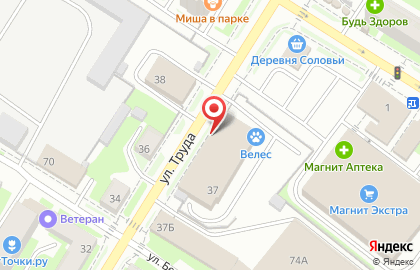 Сервисный центр Pedant.ru на Рижском проспекте на карте