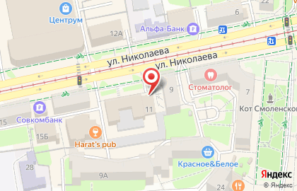 Шиномонтажная мастерская на улице Николаева на карте