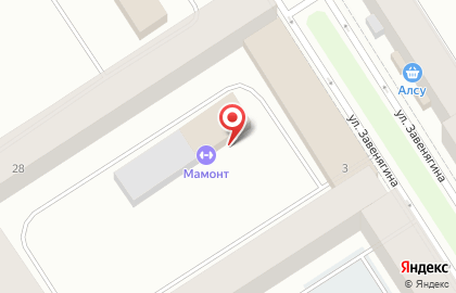 Спортивный комплекс Мамонт на карте