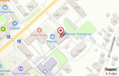Магнит на улице Ленина на карте