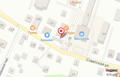 Магазин зоотоваров и товаров для рыбалки и товаров для рыбалки на Советской улице на карте