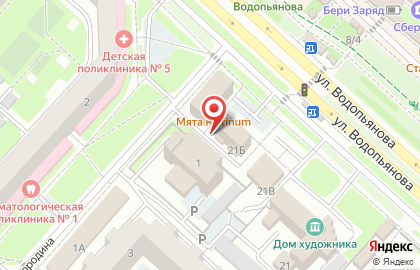Магазин Дом рыбака на улице Водопьянова на карте