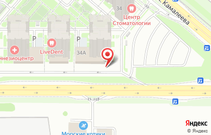Салон-магазин Стильные шведские обои на проспекте Альберта Камалеева на карте