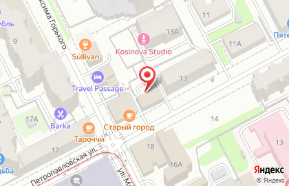 Торгово-сервисная фирма на Петропавловской улице на карте