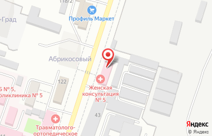 Женская консультация в Воронеже на карте