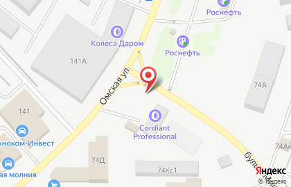 Торгово-производственная компания Лесное Золото на Омской улице на карте